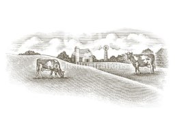 dairy farm 2